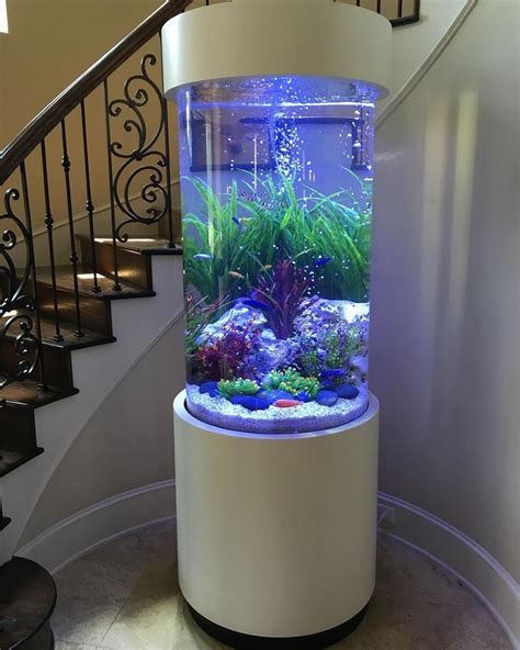 Running a Home Aquarium: Advice & Tips .